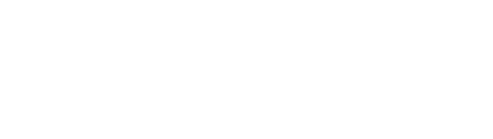 Connecticut Airport Authority logo